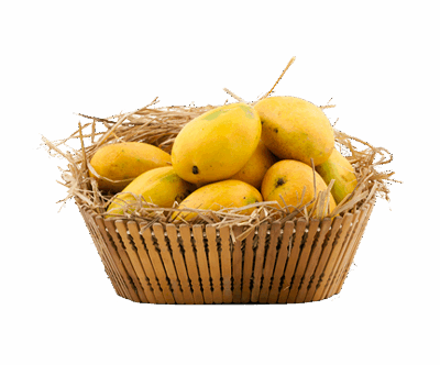 100% Premium Quality Garden Fresh Mango