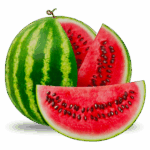 Fresh and Sweet Watermelon Delights for Your Taste Buds!