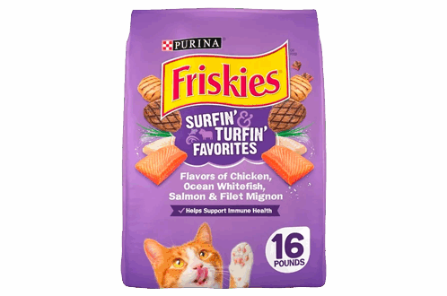 Purina Friskies Dry Cat Food for Adult Cats & Kittens, Surfin’ & Turfin