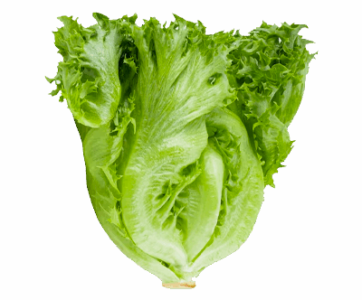 Whole Foods Market, Romaine Hearts Salad Bag Organic